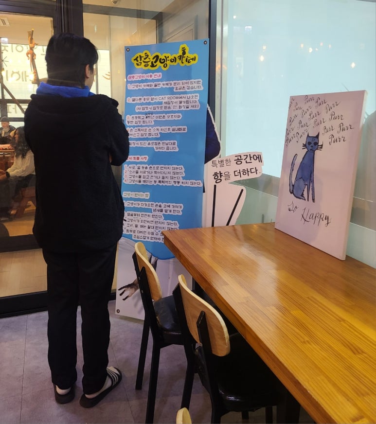 삼층고양이 이미지