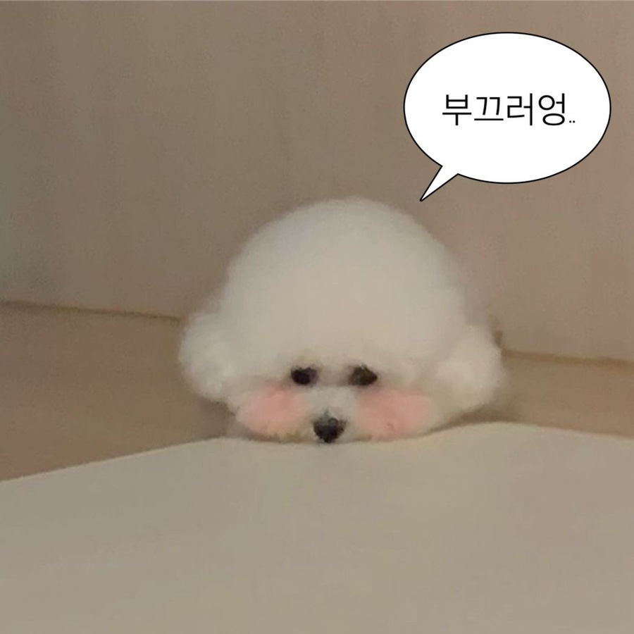 인 이미지