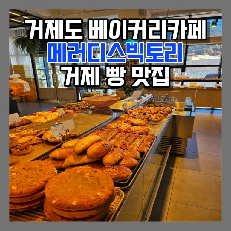 메러디스빅토리 이미지