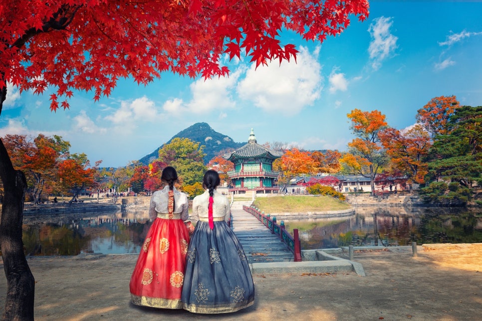 루시드플랜 이미지