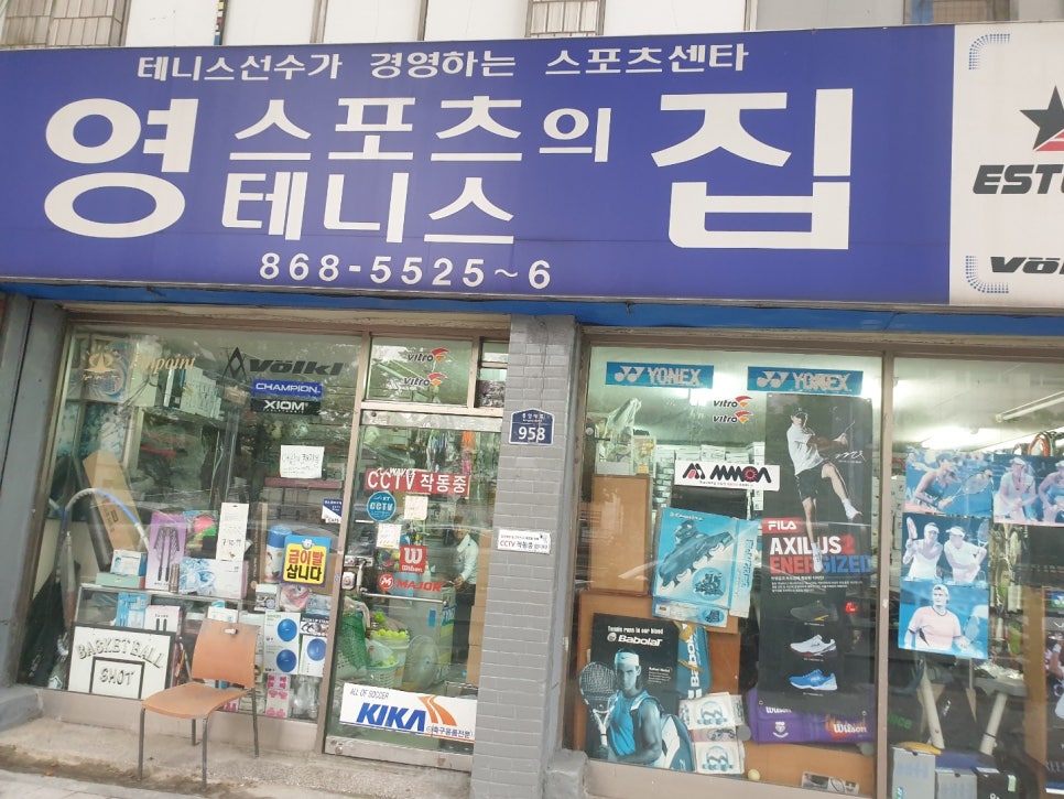 영스포츠 이미지
