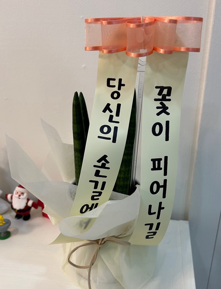 꿈꾸는음악교습소 이미지