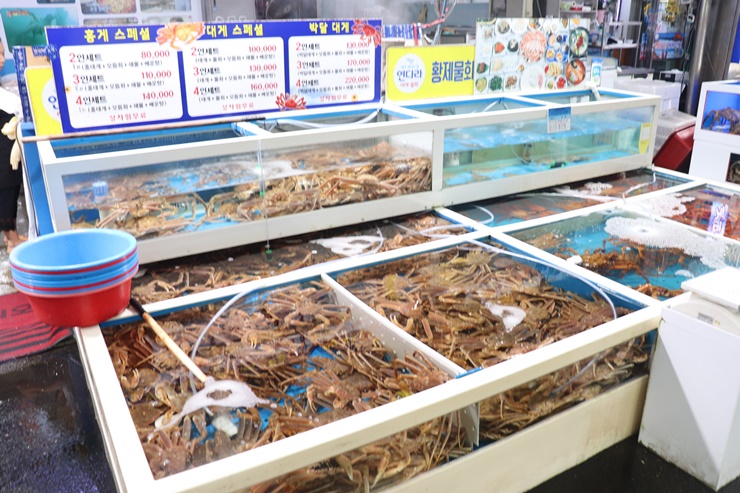 싱싱회식당 이미지