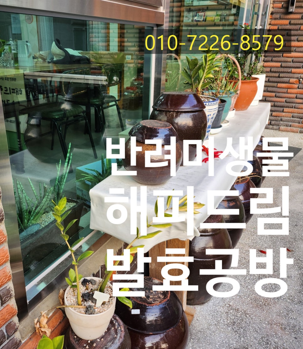 발효공방은하루 이미지