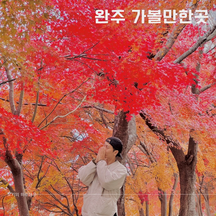 대아푸드 이미지