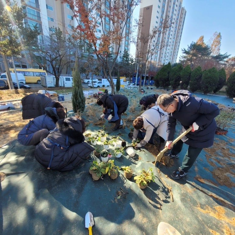 새빛넷 이미지