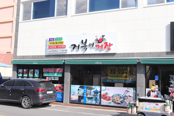 거북이 몰 이미지