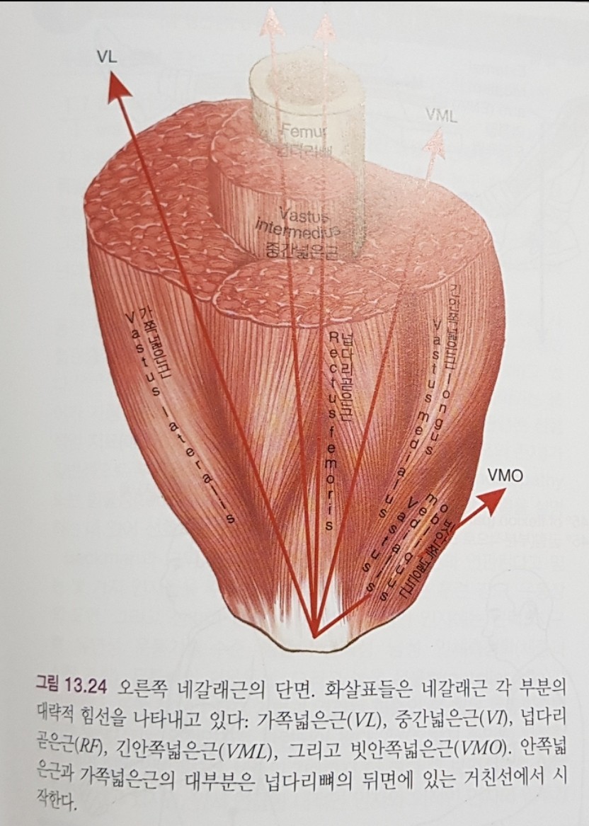 알피짐 이미지