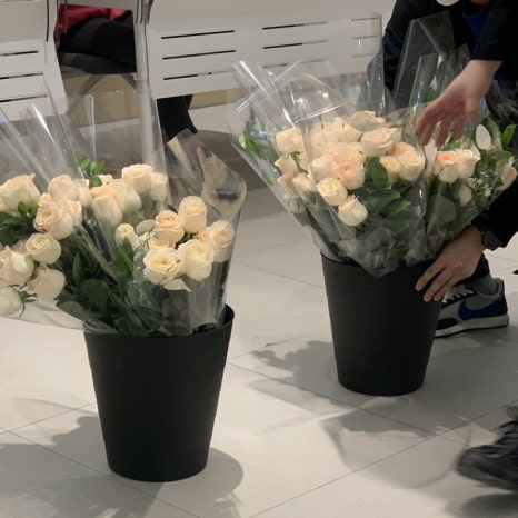 리젠플라워 이미지
