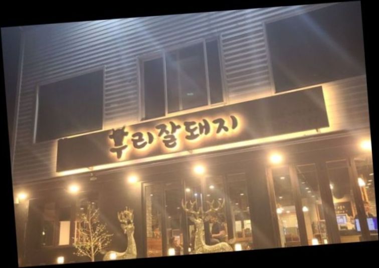 잘돼지 이미지