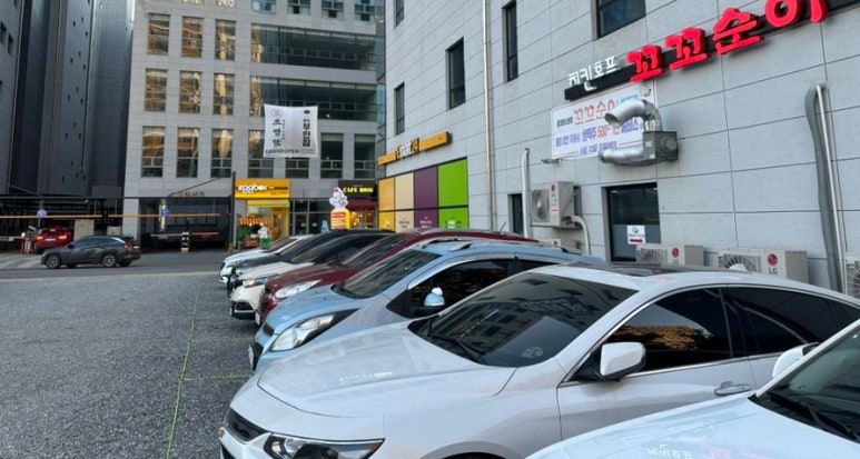 꼬꼬순이초롱꽃점 이미지