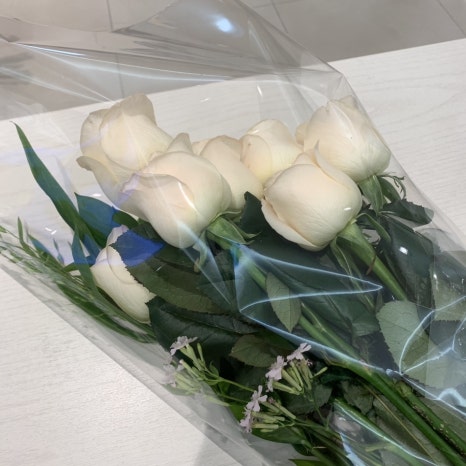 리젠플라워 이미지