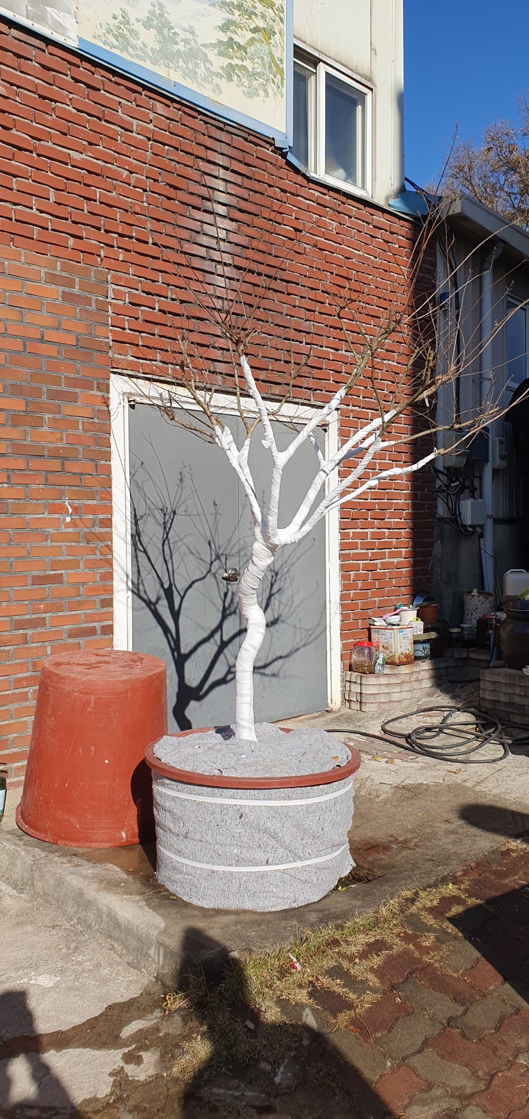 심천요 이미지