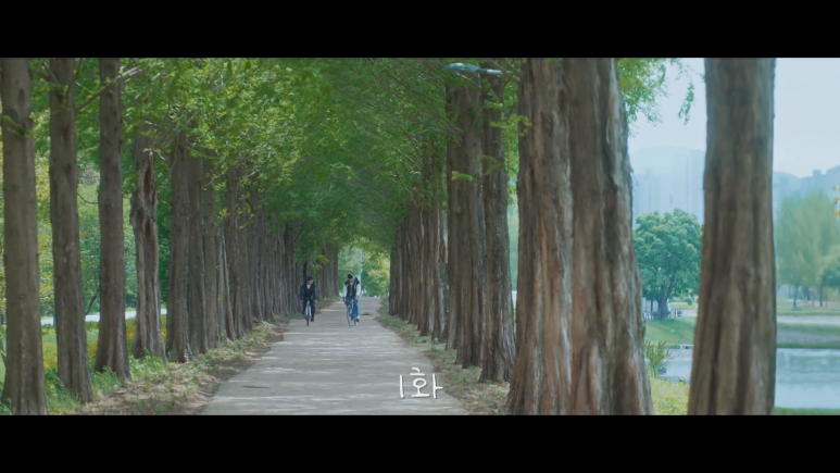 Metasequoia Road