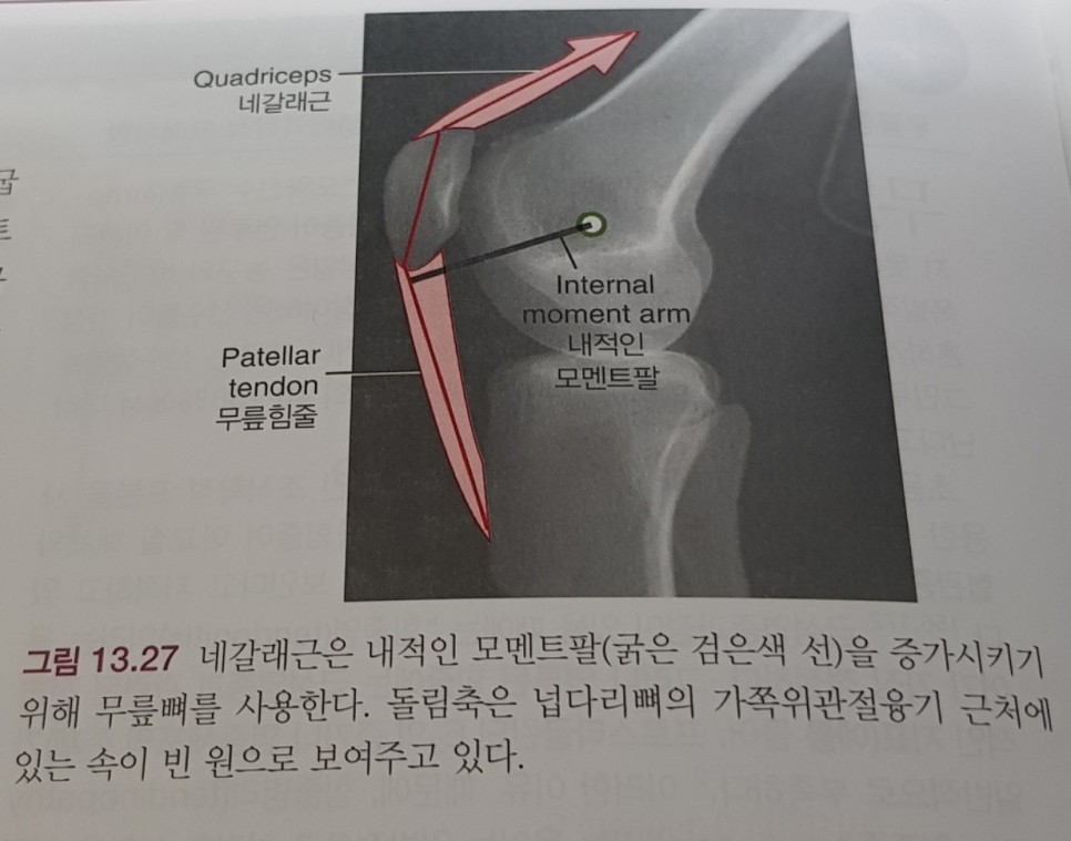 알피짐 이미지