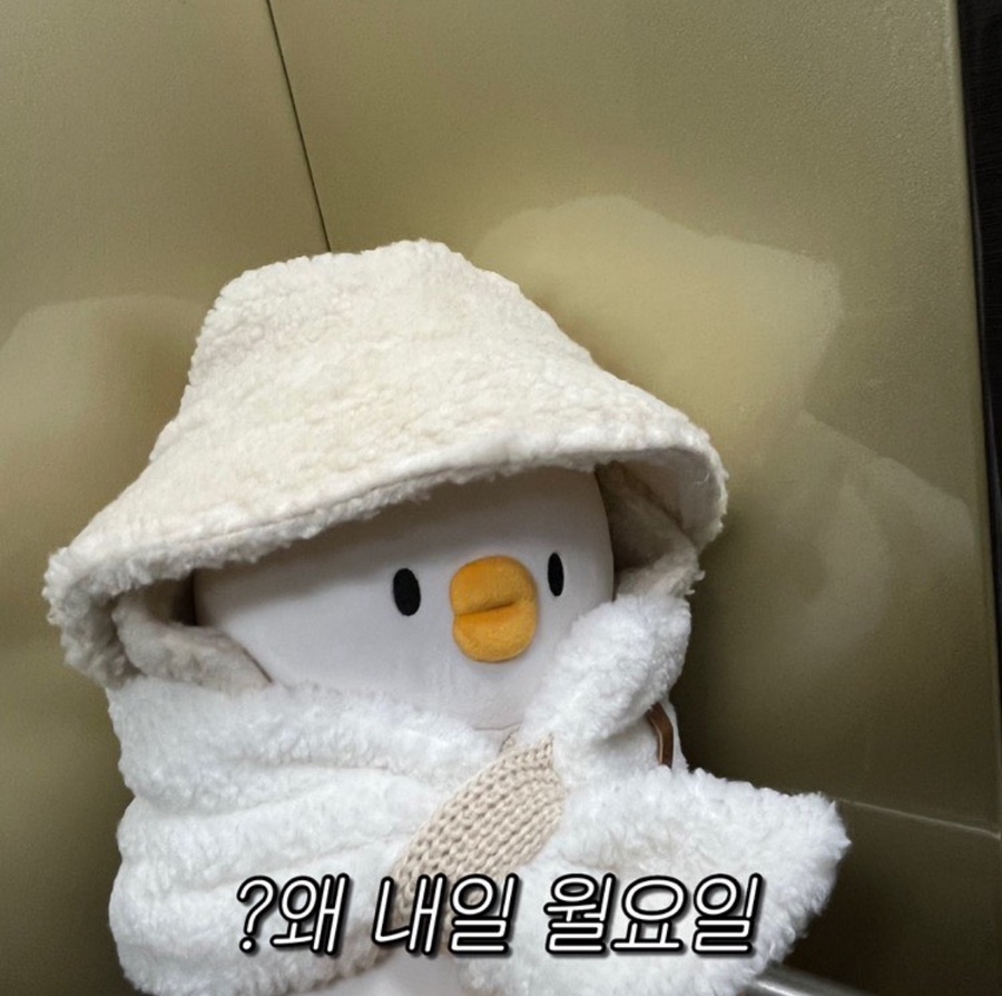 박고집안동갈비 이미지