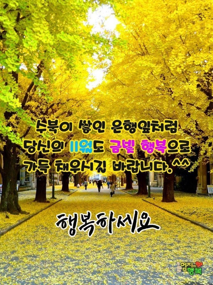 (주)겨울 이미지