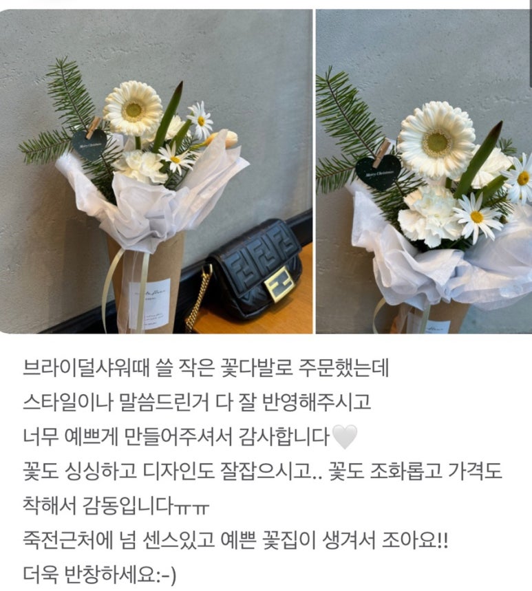 밀테플레르 이미지