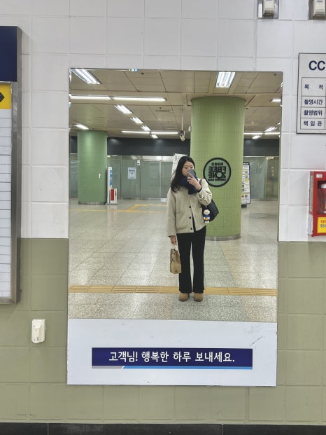 다엘리 이미지