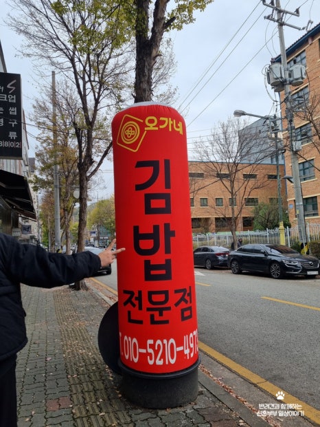 오가네국수랑김밥이랑 이미지
