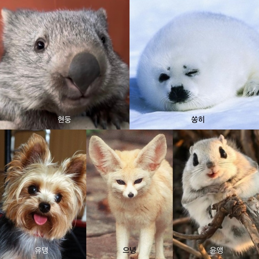 민실장초밥 이미지