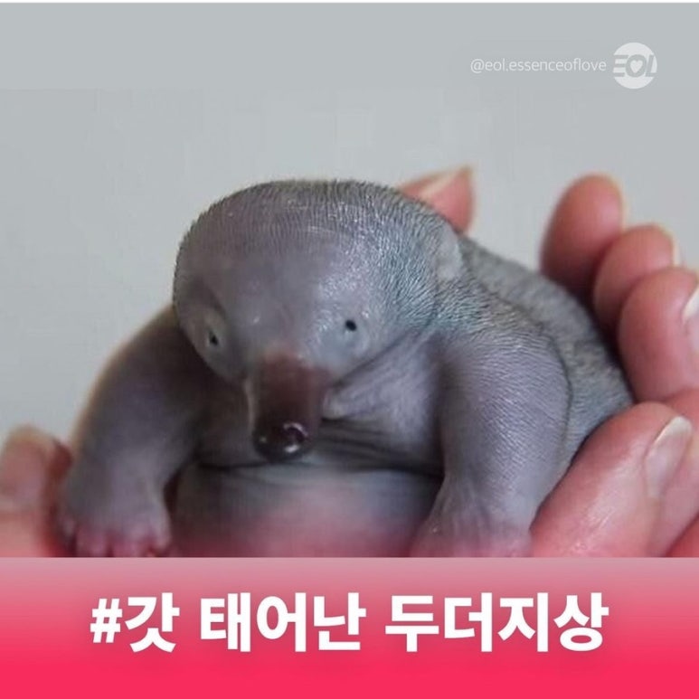 원투쓰리 이미지