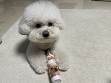 블리스캣 이미지