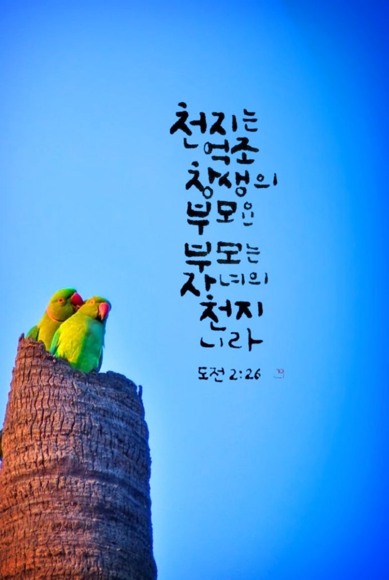 이생공 이미지