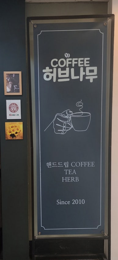 커피허브나무 이미지