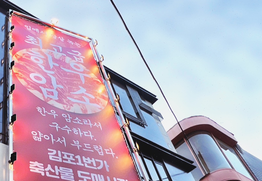 얇은집 이미지