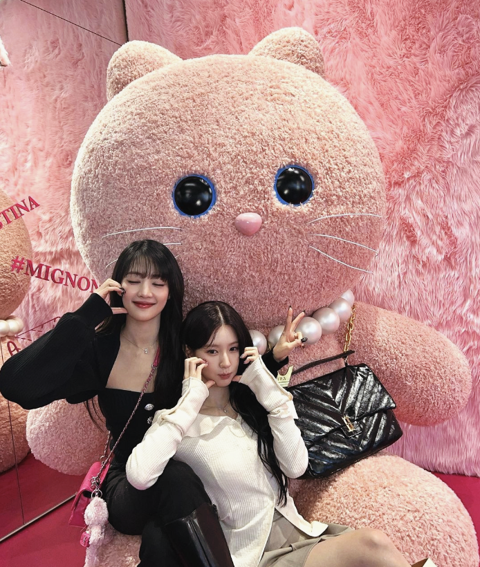 미뇽스토어 이미지