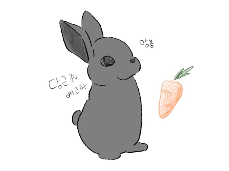 (주)블루네트웍스 이미지