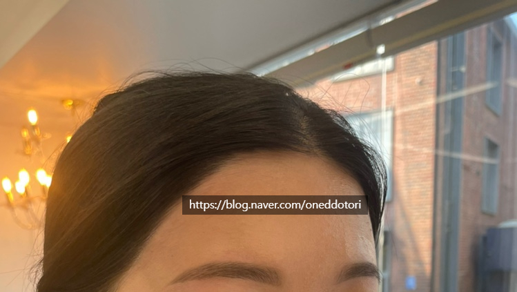 차엘브로우 이미지