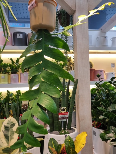 명아트워크 이미지