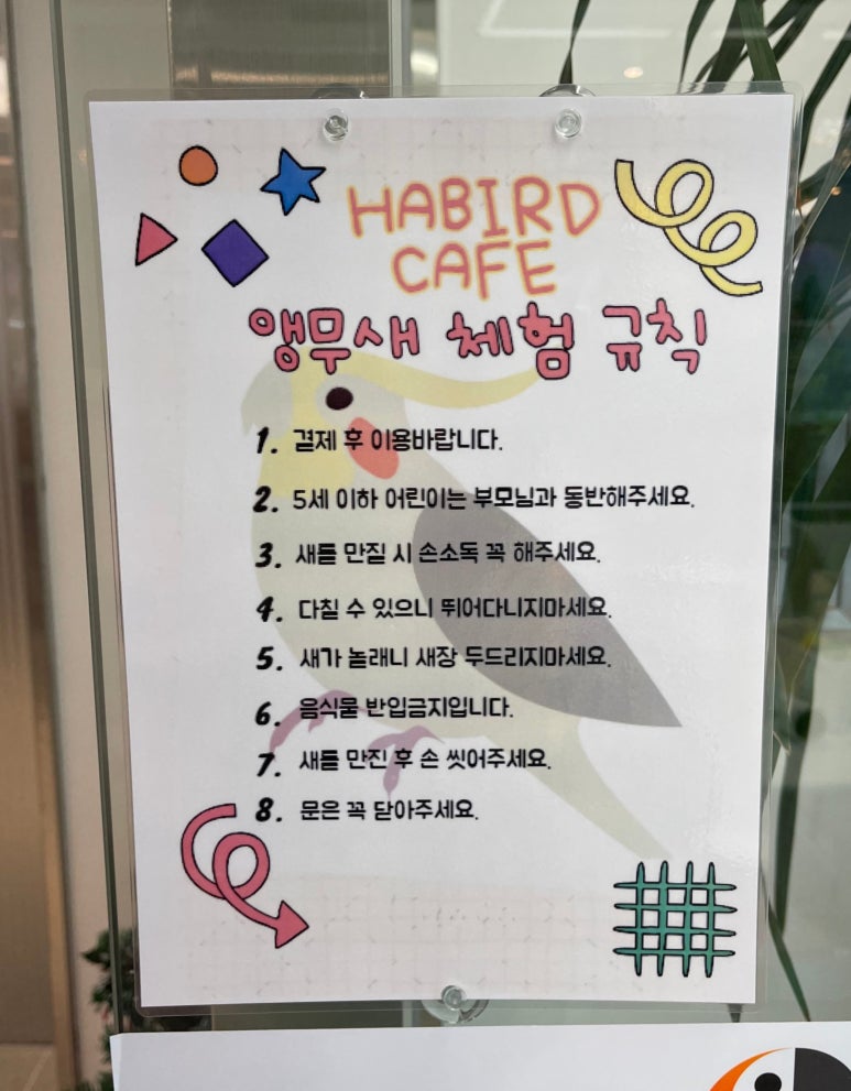 하버드앵무새카페 이미지