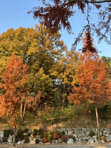 참한차림한식뷔페 이미지