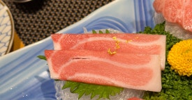 와참치 이미지
