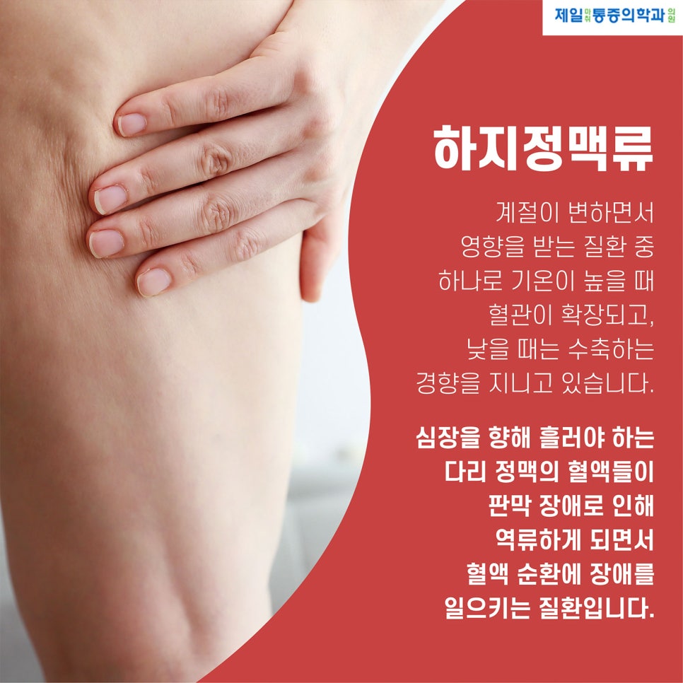 제일마취통증의학과의원 이미지