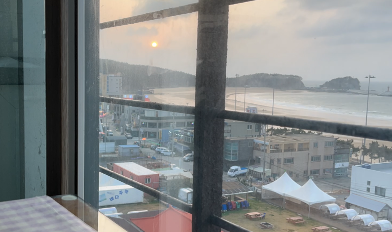 만리포뚱돼지 이미지