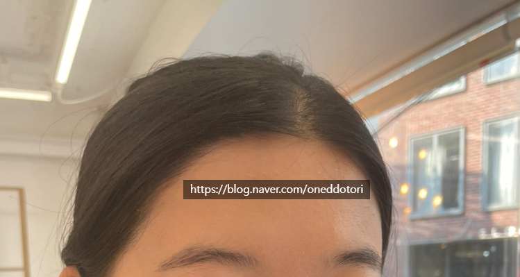 차엘브로우 이미지