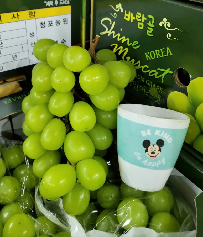 청포농원 이미지