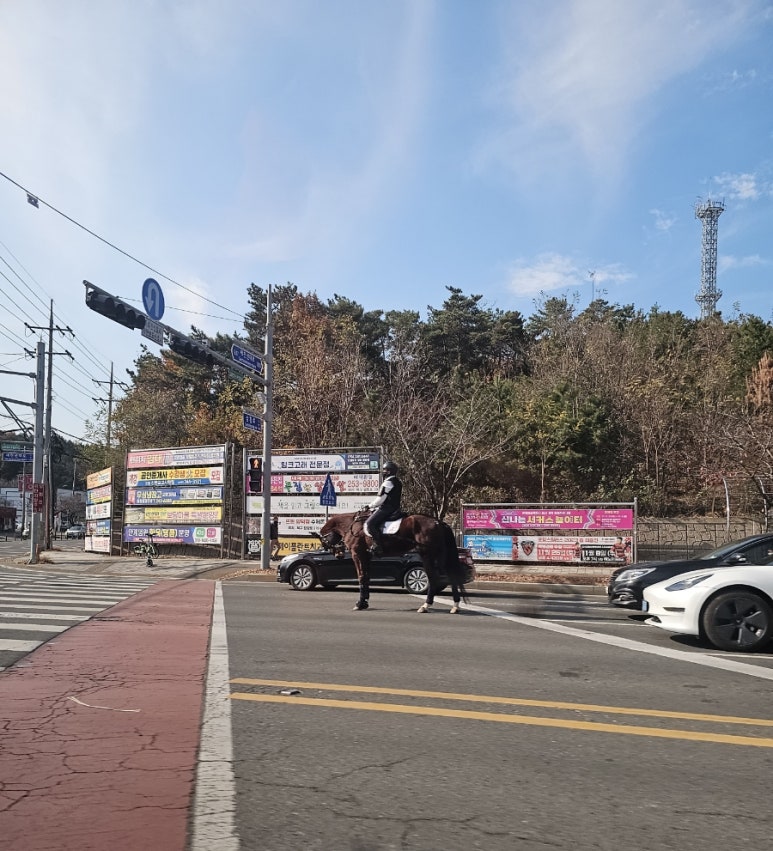 TG패션 이미지