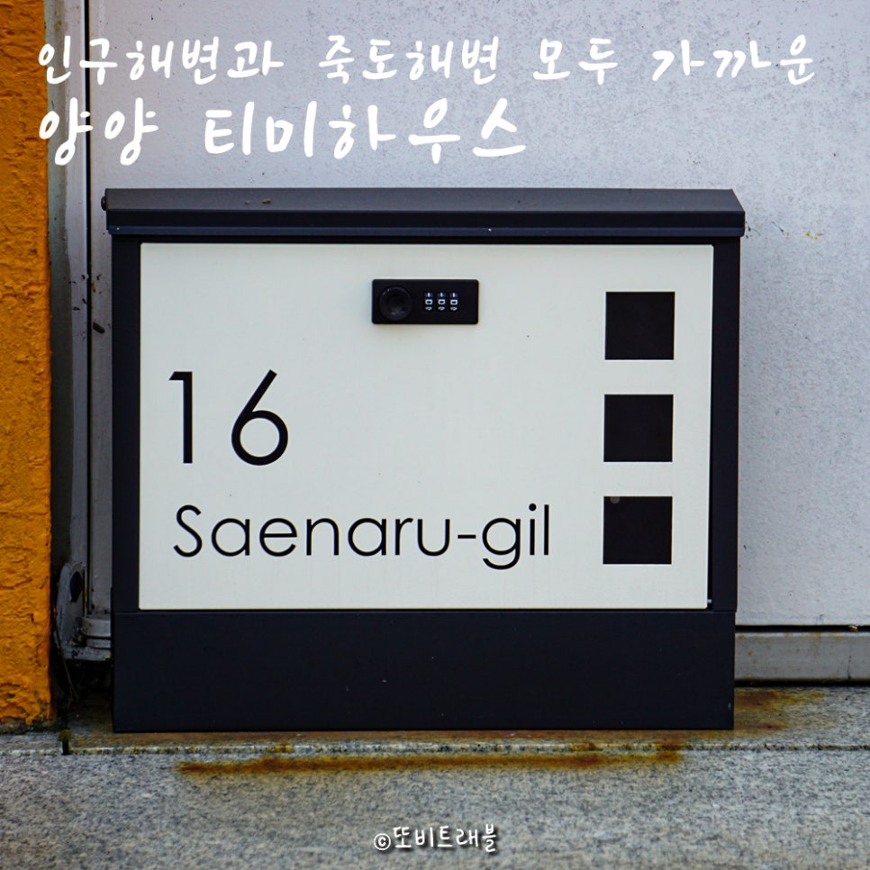 티미하우스 이미지