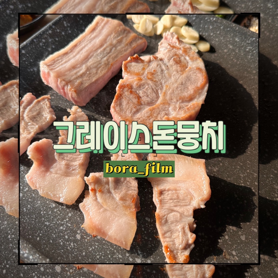 그레이스돈뭉치 이미지