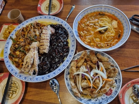 보배반점화성 이미지