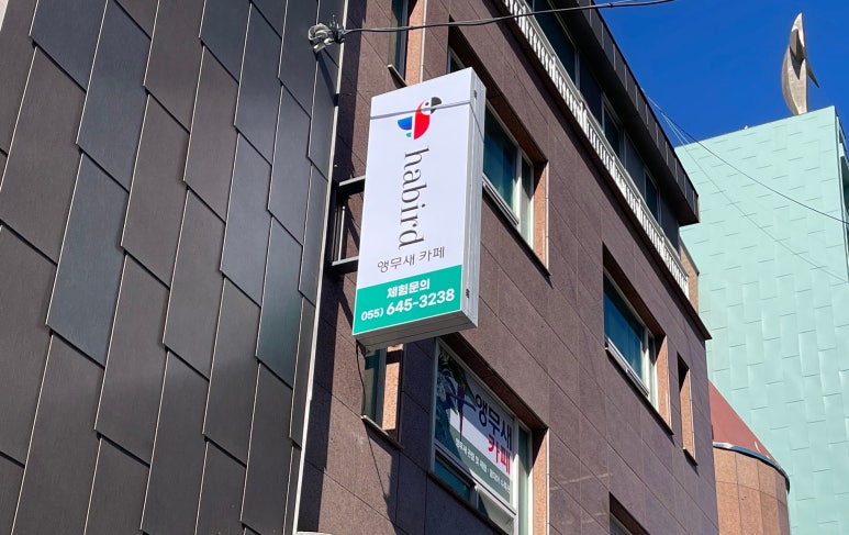 하버드앵무새카페 이미지