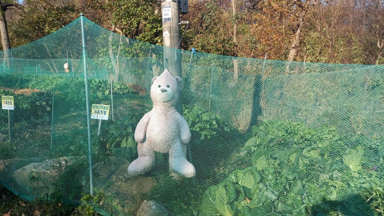 정화노래연습장 이미지