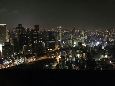 피치랑부산 이미지