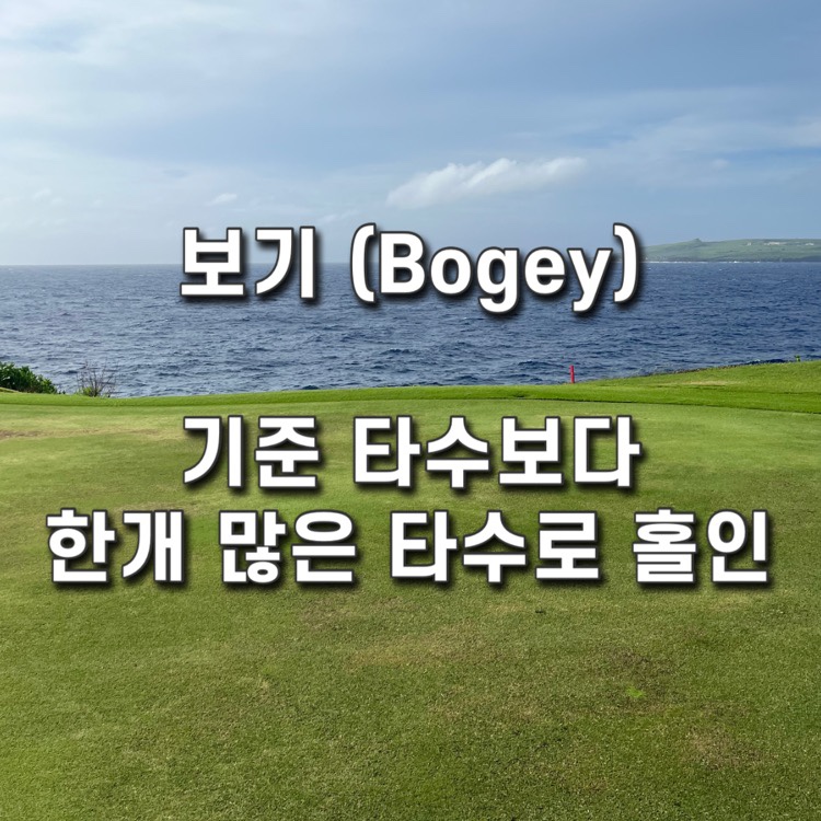 알바트로스골프 이미지