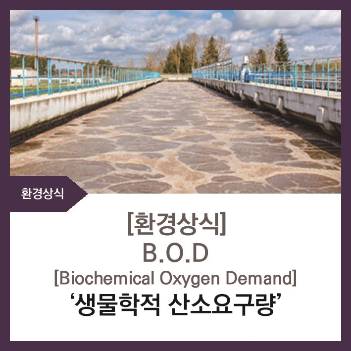 에닌주식회사 이미지